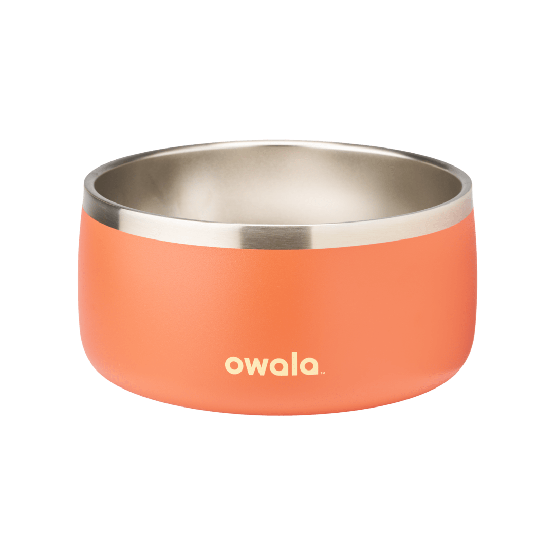 Pet Bowl | Signature Pick