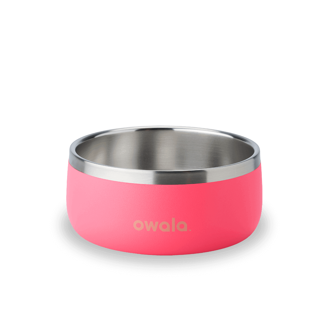 Pet Bowl | Signature Pick