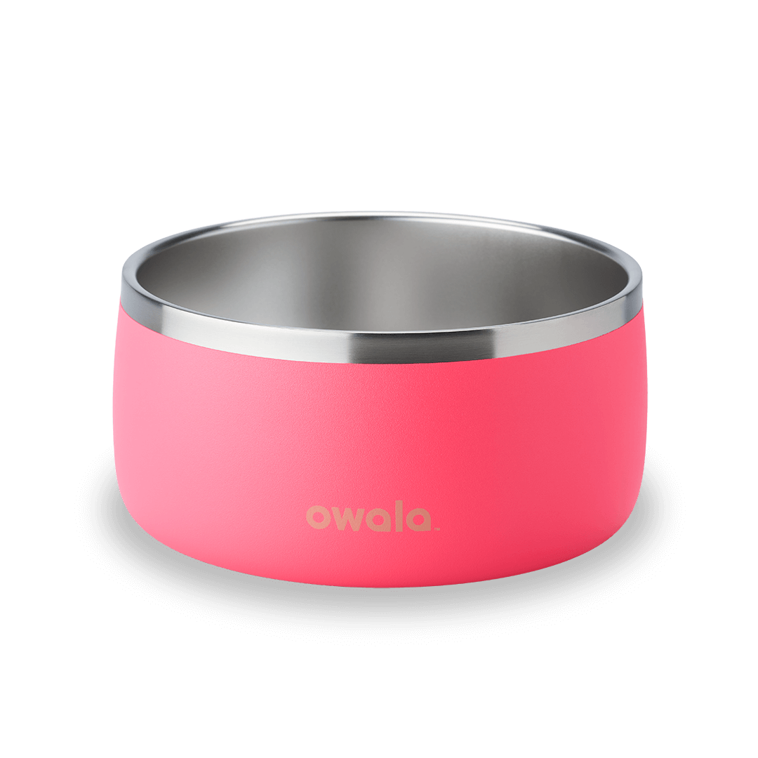 Pet Bowl | Signature Pick